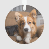 最も可愛い赤ん坊の動物 |長い髪のコージの子犬 オーナメント (裏面)