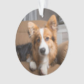 最も可愛い赤ん坊の動物 |長い髪のコージの子犬 オーナメント (正面)