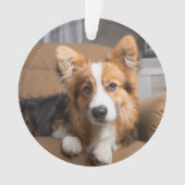 最も可愛い赤ん坊の動物 |長い髪のコージの子犬 オーナメント (正面)