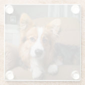 最も可愛い赤ん坊の動物 |長い髪のコージの子犬 ガラスコースター (裏面)