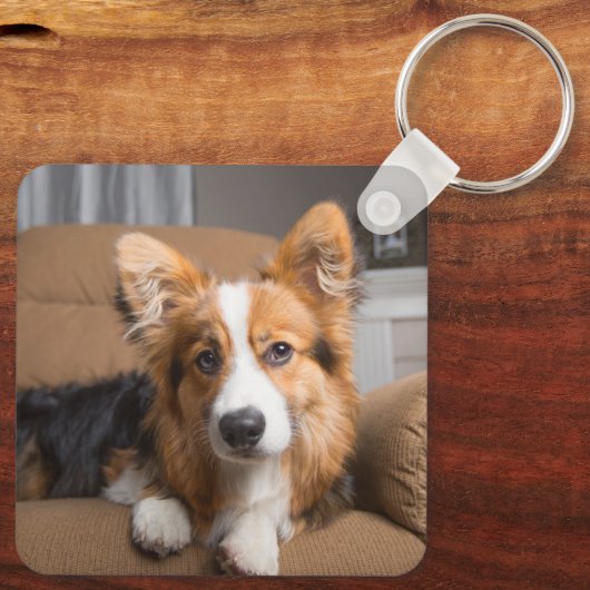 最も可愛い赤ん坊の動物 |長い髪のコージの子犬 キーホルダー (裏面)