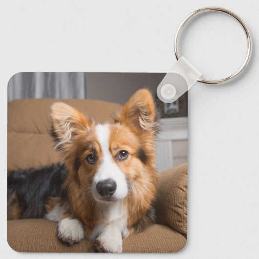 最も可愛い赤ん坊の動物 |長い髪のコージの子犬 キーホルダー (裏面)