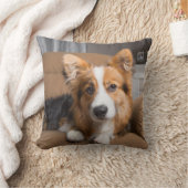 最も可愛い赤ん坊の動物 |長い髪のコージの子犬 クッション (ブランケット)