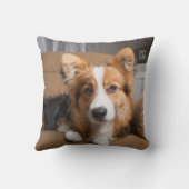 最も可愛い赤ん坊の動物 |長い髪のコージの子犬 クッション (裏面)