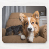 最も可愛い赤ん坊の動物 |長い髪のコージの子犬 マウスパッド (正面)