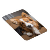 最も可愛い赤ん坊の動物 |長い髪のコージの子犬 マグネット (右側)