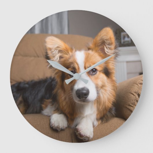 最も可愛い赤ん坊の動物 |長い髪のコージの子犬 ラージ壁時計 (正面)