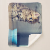 最も可愛い赤ん坊の動物 |青い目のペルシャ猫 シェルパブランケット (正面)