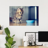 最も可愛い赤ん坊の動物 |青い目のペルシャ猫 ポスター (ホームオフィス)