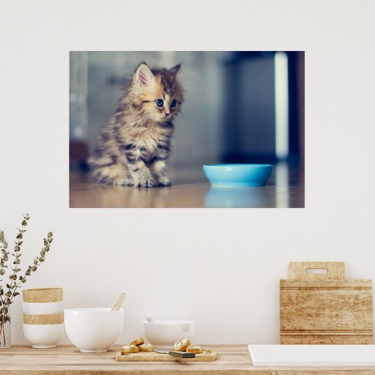 最も可愛い赤ん坊の動物 |青い目のペルシャ猫 ポスター (キッチン)
