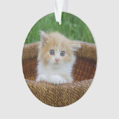 最も可愛い赤ん坊の動物 |青い目の子猫 オーナメント (正面)