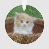 最も可愛い赤ん坊の動物 |青い目の子猫 オーナメント (正面)