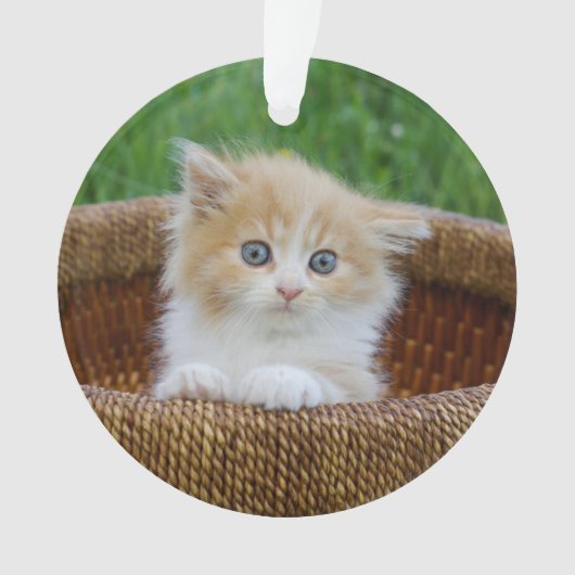 最も可愛い赤ん坊の動物 |青い目の子猫 オーナメント (正面)