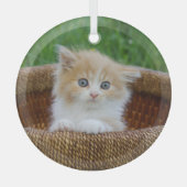 最も可愛い赤ん坊の動物 |青い目の子猫 ガラスオーナメント (正面)