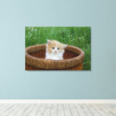 最も可愛い赤ん坊の動物 |青い目の子猫 キャンバスプリント (インサイチュ (ウッドフロア))