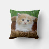 最も可愛い赤ん坊の動物 |青い目の子猫 クッション (裏面)