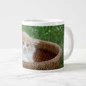 最も可愛い赤ん坊の動物 |青い目の子猫 ジャンボコーヒーマグカップ (正面右)