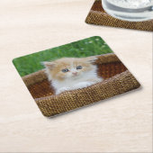 最も可愛い赤ん坊の動物 |青い目の子猫 スクエアペーパーコースター (アングル)