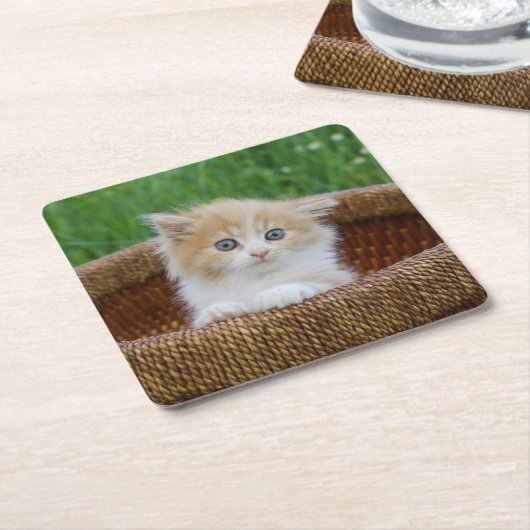 最も可愛い赤ん坊の動物 |青い目の子猫 スクエアペーパーコースター (アングル)