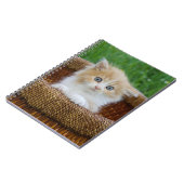 最も可愛い赤ん坊の動物 |青い目の子猫 ノートブック (左側)