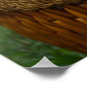 最も可愛い赤ん坊の動物 |青い目の子猫 ポスター (角)