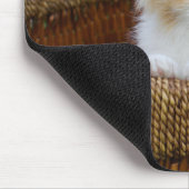 最も可愛い赤ん坊の動物 |青い目の子猫 マウスパッド (コーナー)