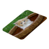 最も可愛い赤ん坊の動物 |青い目の子猫 マグネット (左側)