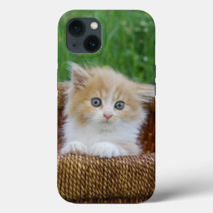 最も可愛い赤ん坊の動物 青い目の子猫 iPhone 13ケース