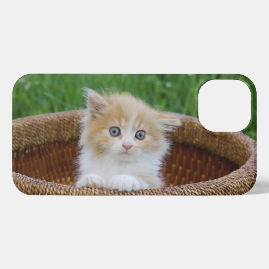最も可愛い赤ん坊の動物 |青い目の子猫 iPhoneケース (裏面横)