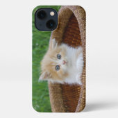 最も可愛い赤ん坊の動物 |青い目の子猫 iPhoneケース (裏面)