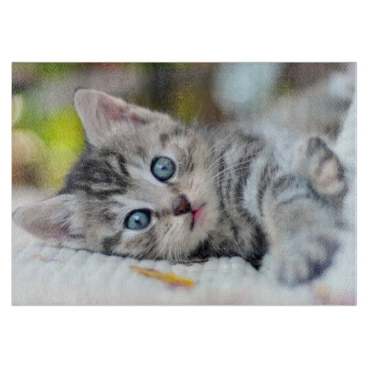 最も可愛い赤ん坊の動物 |青い目をした子猫 カッティングボード (正面)