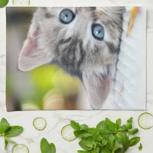 最も可愛い赤ん坊の動物 |青い目をした子猫 キッチンタオル (折り畳み)