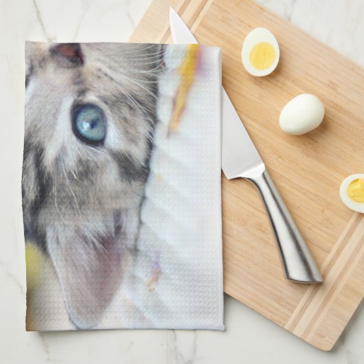 最も可愛い赤ん坊の動物 |青い目をした子猫 キッチンタオル (四つ折り)