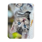 最も可愛い赤ん坊の動物 |青い目をした子猫 マグネット (縦)