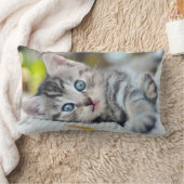 最も可愛い赤ん坊の動物 |青い目をした子猫 ランバークッション (ブランケット)