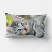 最も可愛い赤ん坊の動物 |青い目をした子猫 ランバークッション (正面)