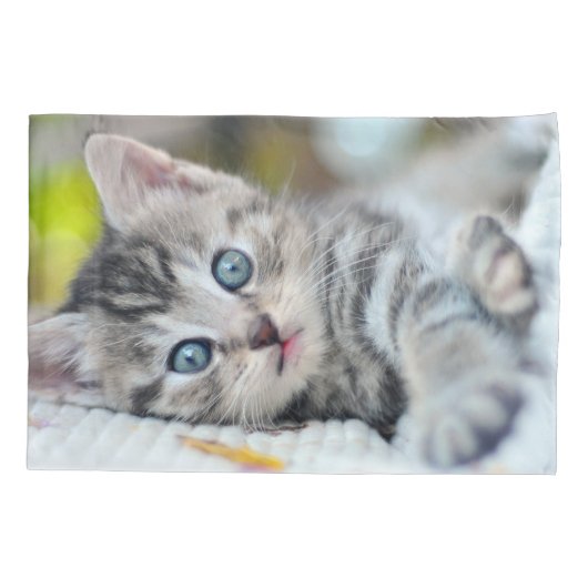 最も可愛い赤ん坊の動物 |青い目をした子猫 枕カバー (裏面)