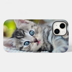 最も可愛い赤ん坊の動物 青い目をした子猫 Case-Mate iPhone 14ケース