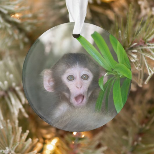 最も可愛い赤ん坊の動物 |驚いた雪猿 オーナメント (ツリー)