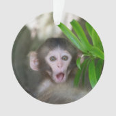 最も可愛い赤ん坊の動物 |驚いた雪猿 オーナメント (正面)