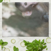 最も可愛い赤ん坊の動物 |驚いた雪猿 キッチンタオル (折り畳み)