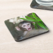 最も可愛い赤ん坊の動物 |驚いた雪猿 コースター (左側)