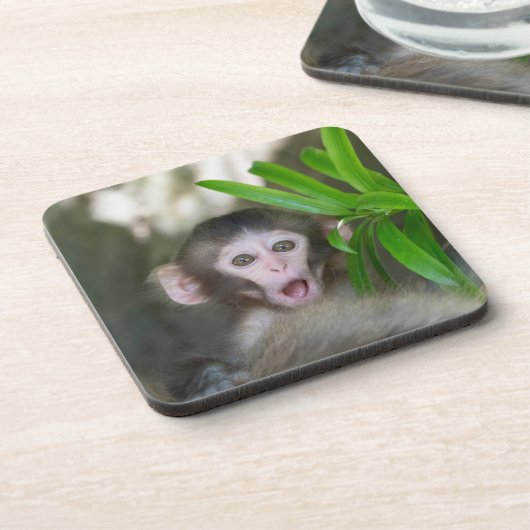 最も可愛い赤ん坊の動物 |驚いた雪猿 コースター (左側)