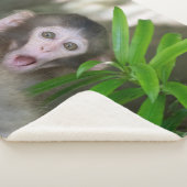 最も可愛い赤ん坊の動物 |驚いた雪猿 シェルパブランケット (3/4)