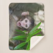 最も可愛い赤ん坊の動物 |驚いた雪猿 シェルパブランケット (正面)