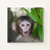 最も可愛い赤ん坊の動物 |驚いた雪猿 ノートブック (裏面)