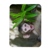 最も可愛い赤ん坊の動物 |驚いた雪猿 マグネット (縦)