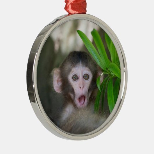 最も可愛い赤ん坊の動物 |驚いた雪猿 メタルオーナメント (右)