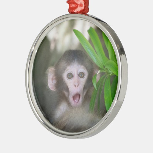 最も可愛い赤ん坊の動物 |驚いた雪猿 メタルオーナメント (左)