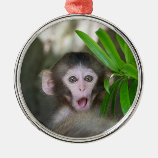 最も可愛い赤ん坊の動物 |驚いた雪猿 メタルオーナメント (正面)
